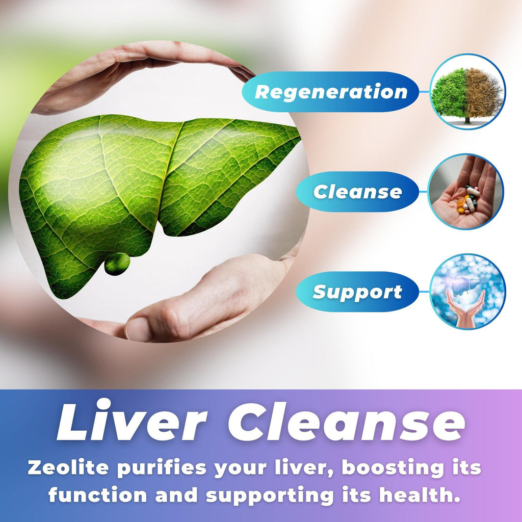 Zeolite Detox Powder 1 lb Clinoptilolite Zeolite Powder Sorbolit 1 2 µm Zeolite