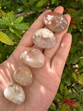 GAF TREASURES 5 Pcs Bloodstone Tumbled Stones Polished Natural Bloodstone Gemstone Bloodstone Healing Crystals (Bloodstone)