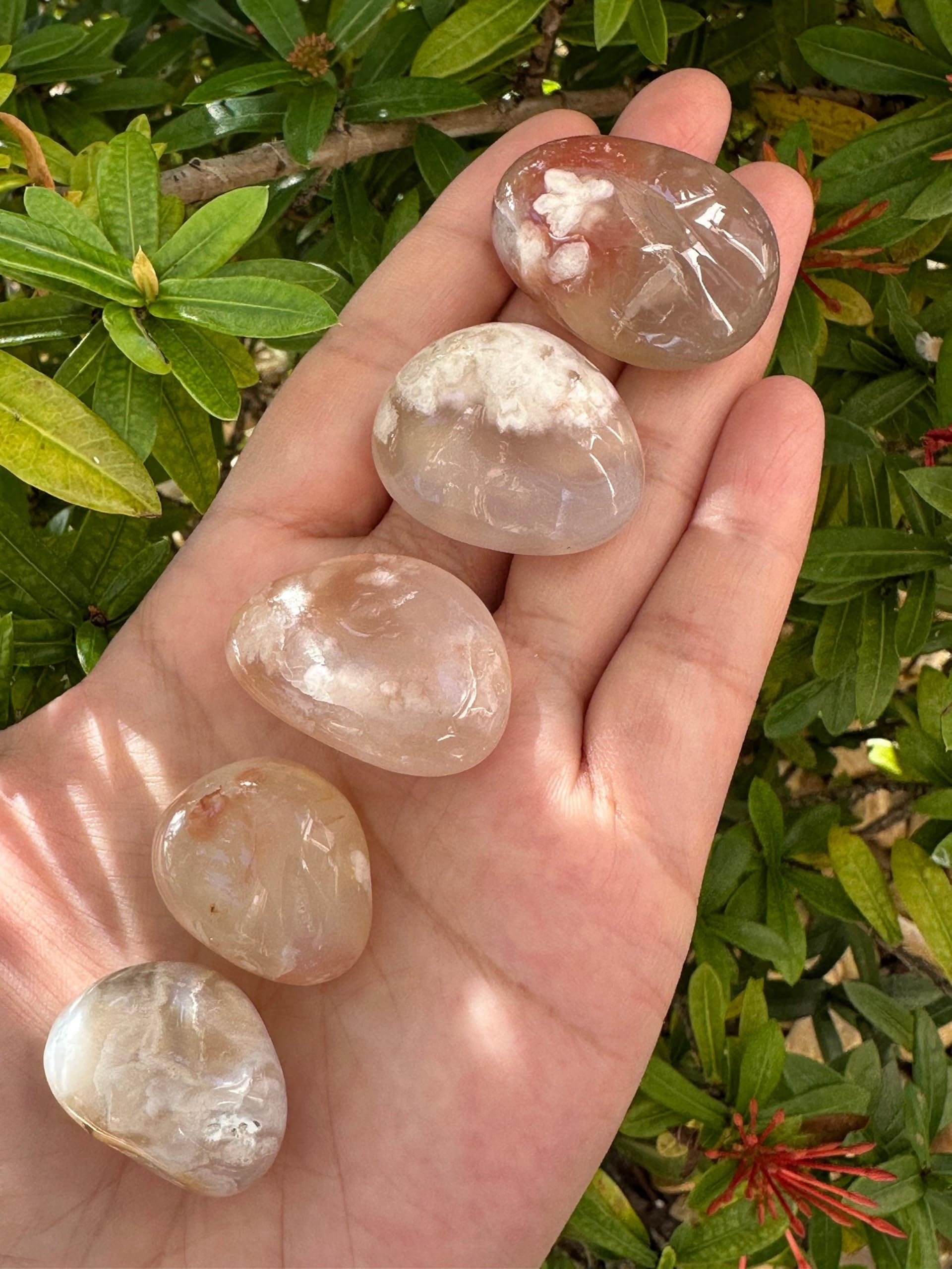 GAF TREASURES 5 Pcs Bloodstone Tumbled Stones Polished Natural Bloodstone Gemstone Bloodstone Healing Crystals (Bloodstone)