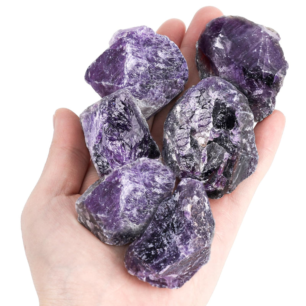 JOHOUSE 6PCS Amethysts with Jar Natural Rough Stones Crystal Large Raw Crystals Bulk Healing Gemstones for Reiki Healing Tumbling Fountain Rocks