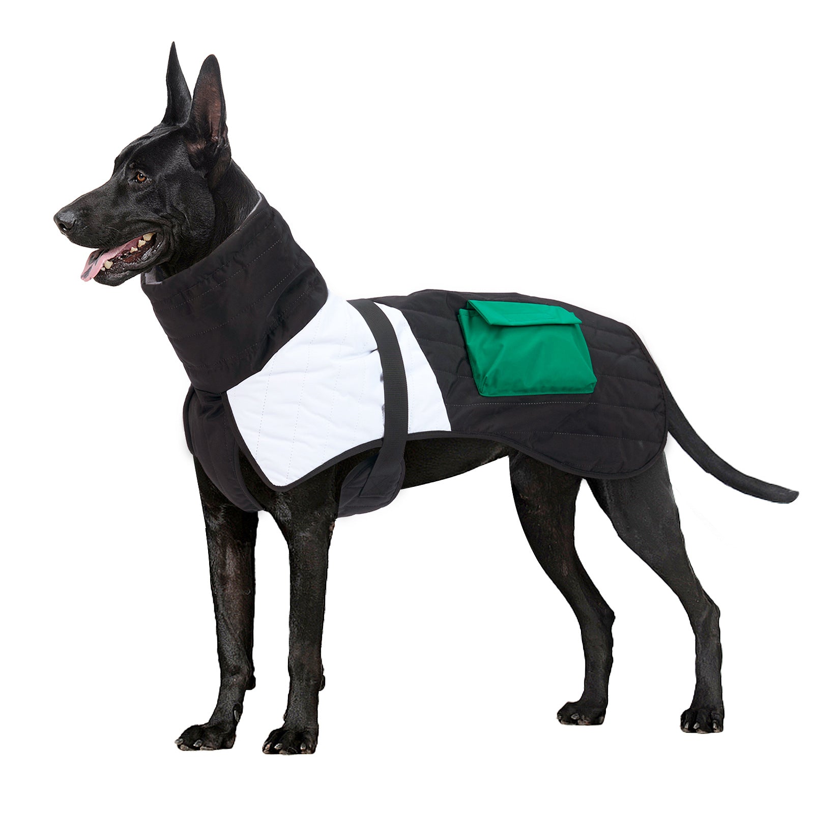 Thickened Winter Coat for Dogs - Warm Padded Apparel